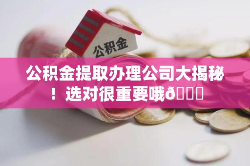 浦城公积金提取办理公司大揭秘！选对很重要哦😎